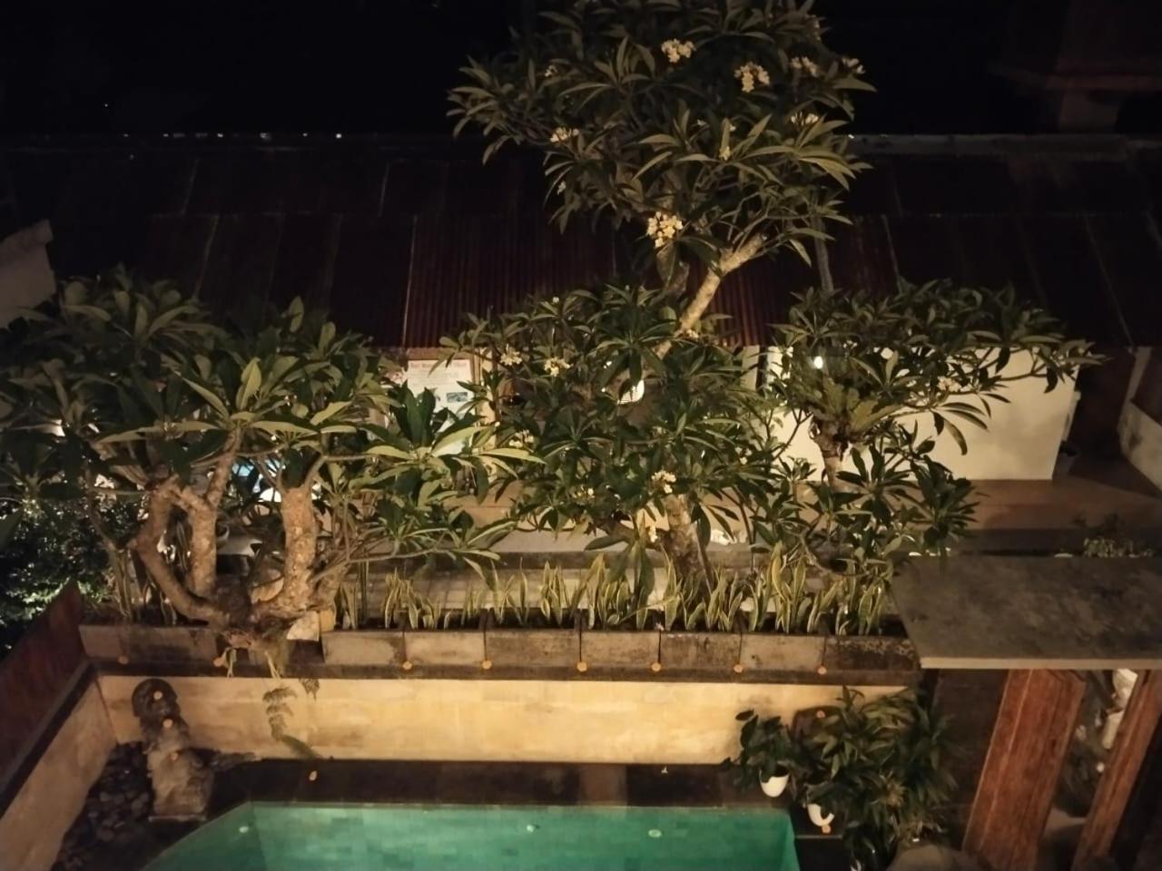 Danu House Ubud Room photo